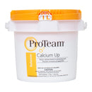 ProTeam Calcium Up