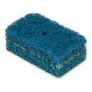 Purity Pool Tile Scrubber Repad  - Fine